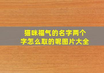 猫咪福气的名字两个字怎么取的呢图片大全