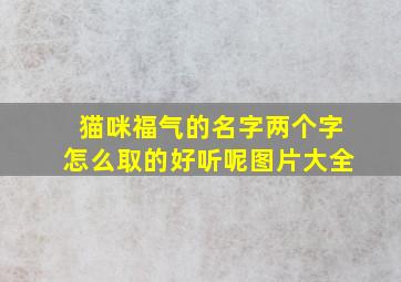 猫咪福气的名字两个字怎么取的好听呢图片大全