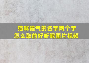 猫咪福气的名字两个字怎么取的好听呢图片视频