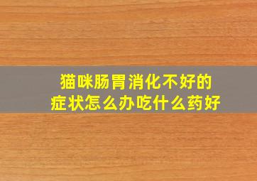 猫咪肠胃消化不好的症状怎么办吃什么药好