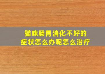 猫咪肠胃消化不好的症状怎么办呢怎么治疗