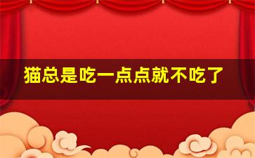 猫总是吃一点点就不吃了