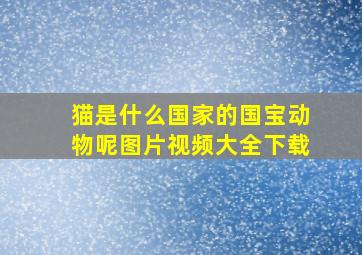 猫是什么国家的国宝动物呢图片视频大全下载