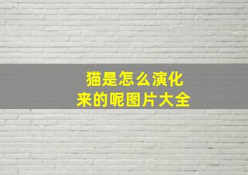 猫是怎么演化来的呢图片大全