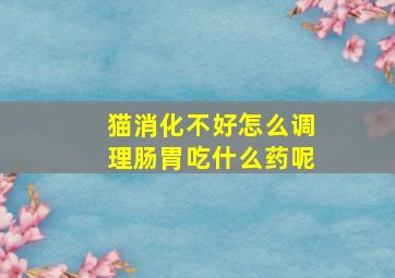 猫消化不好怎么调理肠胃吃什么药呢