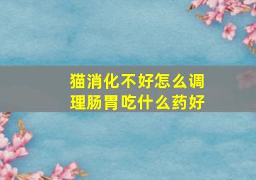 猫消化不好怎么调理肠胃吃什么药好