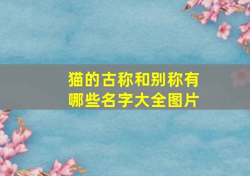 猫的古称和别称有哪些名字大全图片