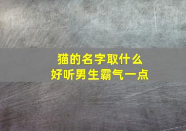 猫的名字取什么好听男生霸气一点