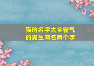 猫的名字大全霸气的男生网名两个字