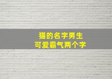 猫的名字男生可爱霸气两个字