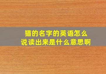 猫的名字的英语怎么说读出来是什么意思啊