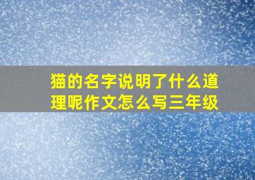 猫的名字说明了什么道理呢作文怎么写三年级