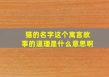 猫的名字这个寓言故事的道理是什么意思啊