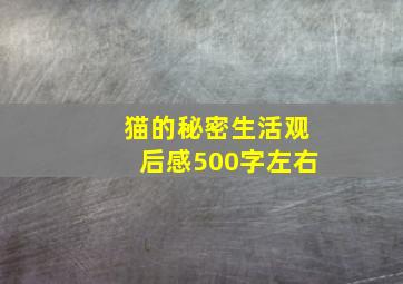 猫的秘密生活观后感500字左右