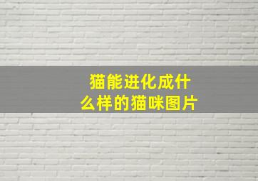 猫能进化成什么样的猫咪图片