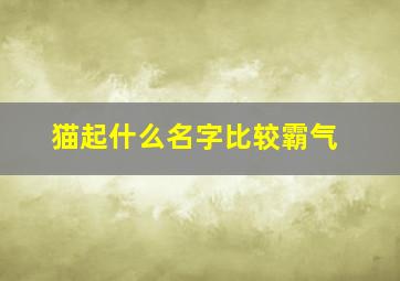 猫起什么名字比较霸气