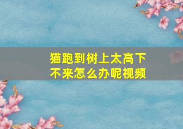 猫跑到树上太高下不来怎么办呢视频