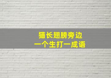 猫长翅膀旁边一个生打一成语