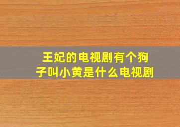 王妃的电视剧有个狗子叫小黄是什么电视剧