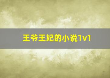 王爷王妃的小说1v1