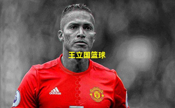 王立国篮球