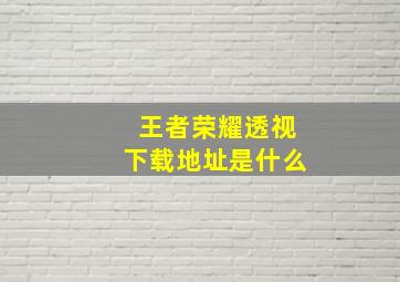 王者荣耀透视下载地址是什么