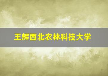 王辉西北农林科技大学