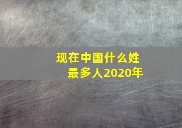 现在中国什么姓最多人2020年