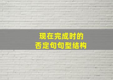 现在完成时的否定句句型结构