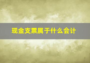 现金支票属于什么会计