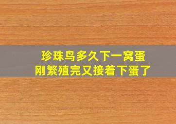 珍珠鸟多久下一窝蛋刚繁殖完又接着下蛋了