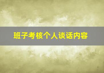 班子考核个人谈话内容