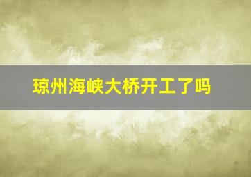 琼州海峡大桥开工了吗