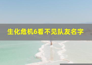 生化危机6看不见队友名字