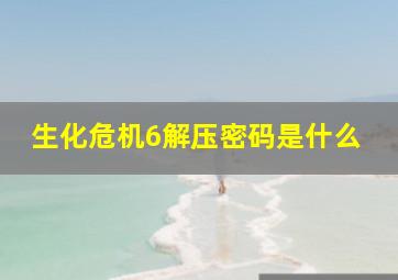 生化危机6解压密码是什么