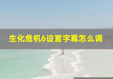 生化危机6设置字幕怎么调