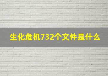 生化危机732个文件是什么