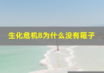 生化危机8为什么没有箱子