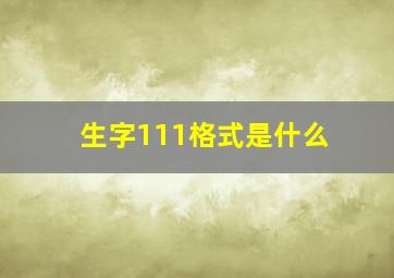 生字111格式是什么