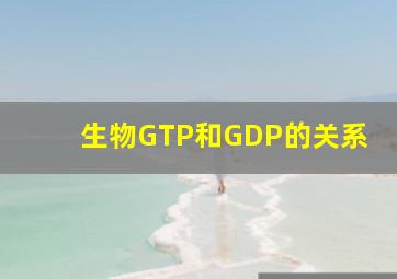 生物GTP和GDP的关系