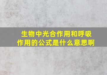 生物中光合作用和呼吸作用的公式是什么意思啊