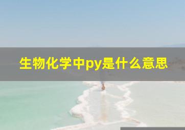 生物化学中py是什么意思