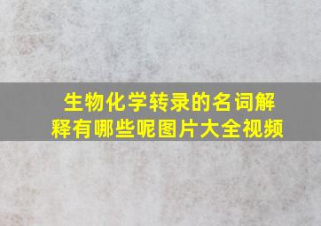 生物化学转录的名词解释有哪些呢图片大全视频