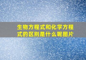 生物方程式和化学方程式的区别是什么呢图片