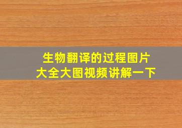 生物翻译的过程图片大全大图视频讲解一下