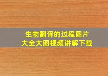 生物翻译的过程图片大全大图视频讲解下载