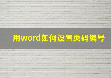 用word如何设置页码编号