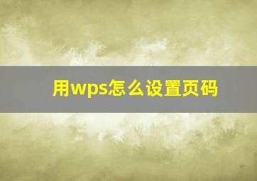 用wps怎么设置页码