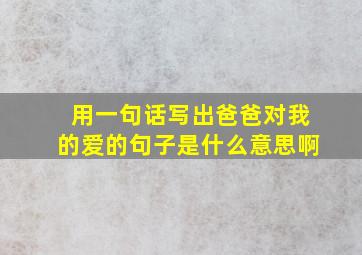 用一句话写出爸爸对我的爱的句子是什么意思啊