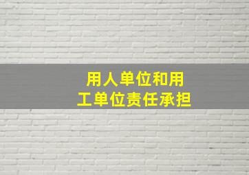 用人单位和用工单位责任承担